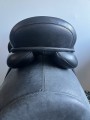 image00006.jpeg