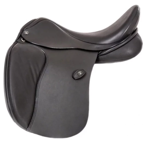 TT-Dressage.jpg.webp