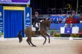 world-class-monoflap-dressage-saddle-charlotte.jpg