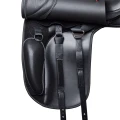 T9Dressageblockweb.webp
