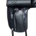 T9Dressagegirthingpointweb.webp